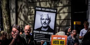 Image result for assange