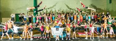 Image result for Dimensions Trampoline Club