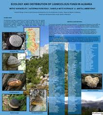 Attēlu rezultāti vaicājumam “Asterodon ferruginosus”