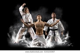 Image result for Masters of Martial Arts