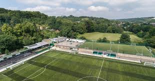 Image result for Whyteleafe Netball Club