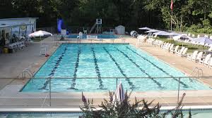 Image result for Dearne Valley Swimming Club