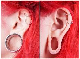 Image result for ear mod