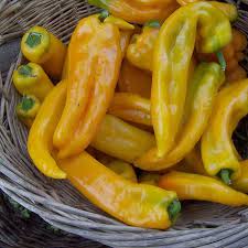 Afbeeldingsresultaat voor marconi golden sweet pepper