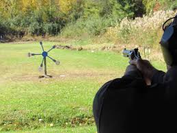 Image result for Property Gun and Punt Club