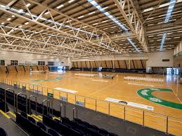 Image result for Sports Centre Netball