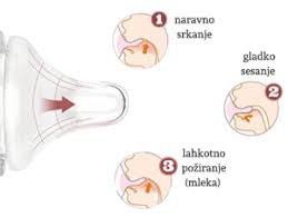 Image result for cucelj