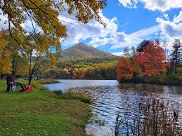 Image result for Bedford