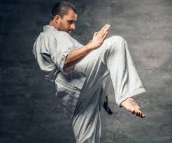 Image result for Caversham Karate Club SSKA