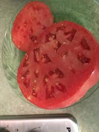 Afbeeldingsresultaat voor stump of the world tomato