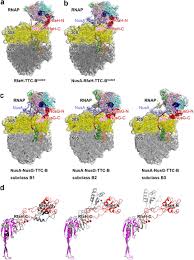 Image result for The 3E`s Ttc