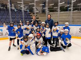 Image result for Haringey Junior Ice Hockey Club