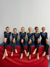 Image result for Hinckley Gymnastics Club