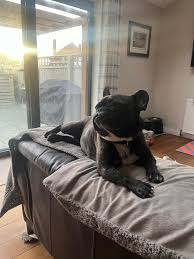 Image result for Haxby Netball Club