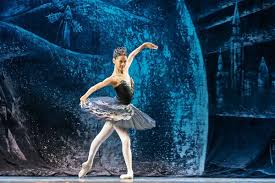 Attēlu rezultāti vaicājumam “Lycogala asperum young”