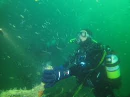 Image result for Seaham Sub Aqua Club