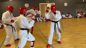 Image result for Bytomic Tae Kwon Do Lower Earley