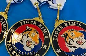 Image result for Kidderminster Tae Kwon Do Tigers