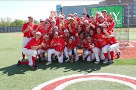 Image result for Hawley Badminton Club