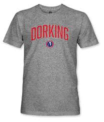 Image result for Dorking Wanderers F C