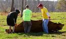 Stories of survival emerge from tornado victims - BroadcastNewsroom