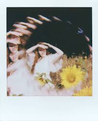 Image result for polaroids