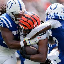 Image result for Hambro Colts Y F C