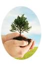 Today is Arbor Day and you can