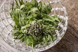 Attēlu rezultāti vaicājumam “Hesperis matronalis bud”