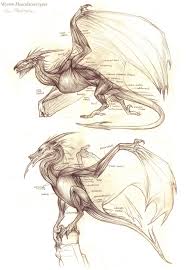 Image result for Wyvern