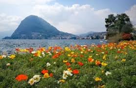Image result for "Parco Ciani"