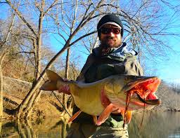 Image result for Esox masquinongy