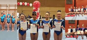 Image result for City Of Leeds Gymnastics Club