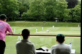 Image result for Caterham Cricket Club