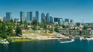 Image result for Bellevue