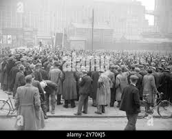 Image result for Bristol Dockers