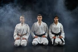 Image result for Ynys Mon Shukokai Karate Club, North Wales