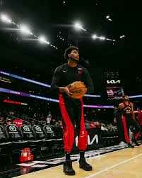 Attēlu rezultāti vaicājumam “Diderma testaceum young”