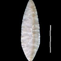 Image result for feuille-laurier-silex