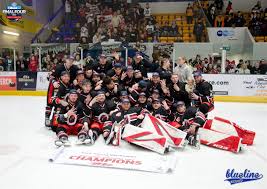 Image result for Streatham Youth Ice Hockey Club