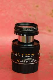 Attēlu rezultāti vaicājumam “Licea minima macro”