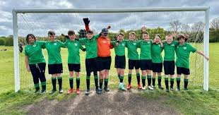 Image result for Welwyn Garden City Panshanger Football Club