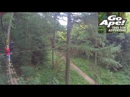 Image result for Go Ape! Dalby