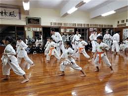 Image result for Zen Shin Seicho Do Adult Karate