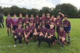 Image result for Crawley Rugby Club