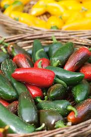 Afbeeldingsresultaat voor jalapeno early hot pepper