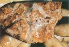 52: <b>Lumpy skin disease</b>.