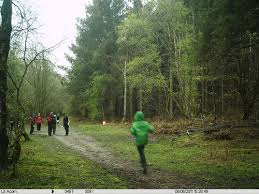 Image result for Solway Orienteers