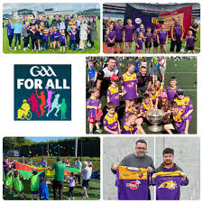 Image result for Carryduff Gaelic Athletic Club