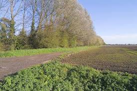 Image result for Holbeach and Fenland